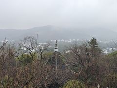 -香雪海