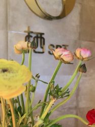 点击看大图 -栖SPA·ONDA ·美芙炫·海菲秀科技美肤中心