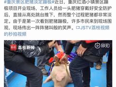 -美心红酒小镇游乐园