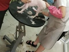 -精灵岛宠物生活馆(洪泽花园店)