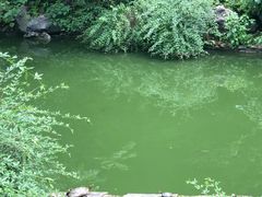-杭州西湖风景名胜区-三生石