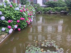 -太湖湾开元名庭大酒店