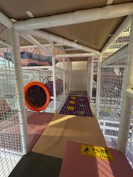 -奈尔宝家庭中心·亲子餐厅(华采天地店)