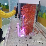 彩色🐸青蛙第一次见哦