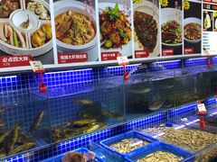 水产区-必点海鲜·鲅鱼水饺(鞍山西道店)