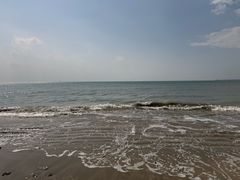 -东郊椰林