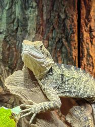 -酷嗒动物文化乐园(cutezoo西溪乐天城店)