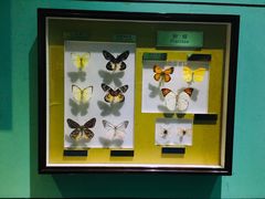 -上海昆虫博物馆