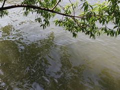 -西湖天地
