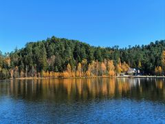 -五营红松林海景区