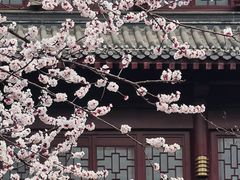 -堤角公园