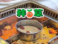 -重庆德庄火锅(太仓万达店)