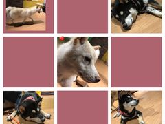 -时代奥城商业广场