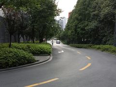 -陆家嘴世纪金融广场