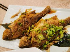 -麒麟中餐厅·经典粤菜·地道菜式老字号(广州长隆酒店)