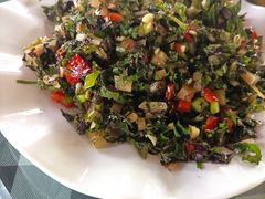 凉拌紫苏-草根堂农场