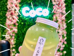 小森林-CoCo都可(东城国贸店)