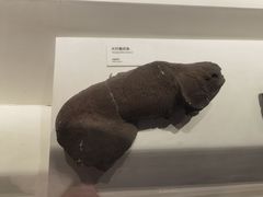 -重庆自然博物馆(新馆)