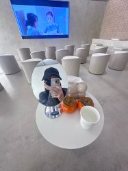 点击看大图 -BR光电保养