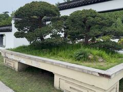 -盆景园(扬州大运河文化旅游度假区)
