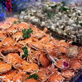 千家粗粮王自助界的扛把子升级黑标店‼️