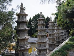 -泰山风景名胜区-普照寺