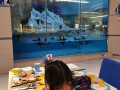 -帝企鹅自助餐厅•儿童岛•真企鹅(长隆企鹅酒店)