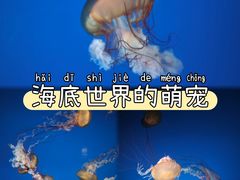 -太平洋海底世界