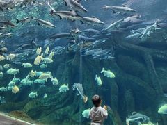 -波塞冬海底世界