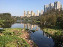 -重庆彩云湖湿地公园
