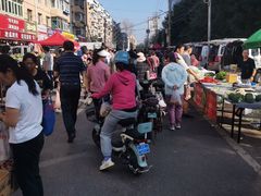 -辽宁电视塔