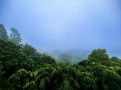 -莫干山风景区