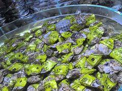 -聚盛源蒸汽海鲜火锅烤肉自助(巨川金海岸购物广场店)