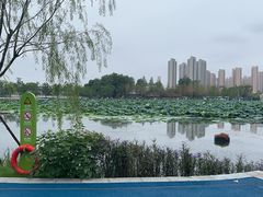 -武汉动物园