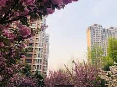 -名士豪庭