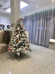 -三只熊皮肤管理中心旗舰店