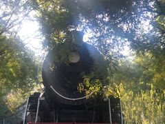-玲珑塔公园