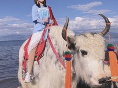 -青海湖国家重点风景名胜区