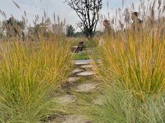 -汉长安城未央宫国家考古遗址公园