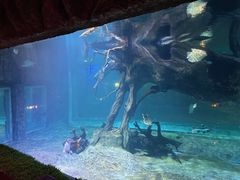 -华夏文旅海洋公园