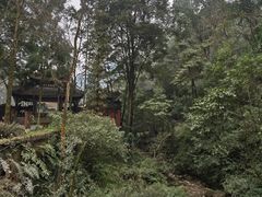 -青城山