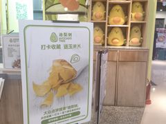 -油梨树AVOCADO TREE(嘉里中心店)