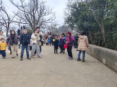 -紫金山山顶公园