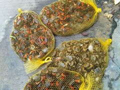 android_upload_pic-海鸥岛