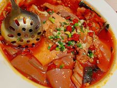 毛血旺-尚一汤·粤菜海鲜(环球港店)