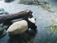 -青藏高原野生动物园