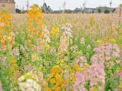 -中国天府农业博览园