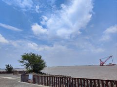 -上海滨江森林公园