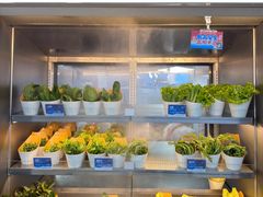 -海底捞大排档火锅(打浦路店)