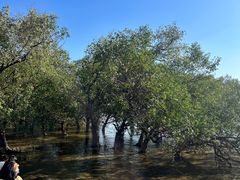 -宝安西湾红树林湿地公园